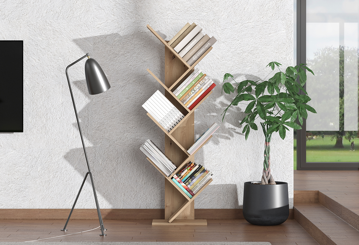 Απεικονίζεται η βιβλιοθήκη με βιβλία σε σαλόνι.